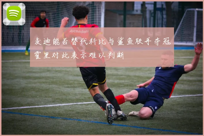 麦迪能否替代科比与鲨鱼联手夺冠霍里对此表示难以判断