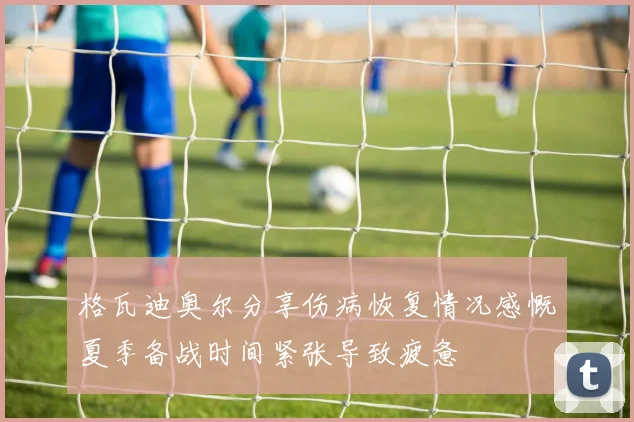 格瓦迪奥尔分享伤病恢复情况感慨夏季备战时间紧张导致疲惫