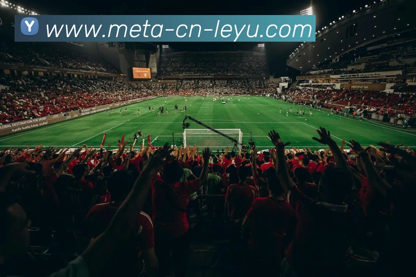 乐鱼体育APP 体育赛事宣传图